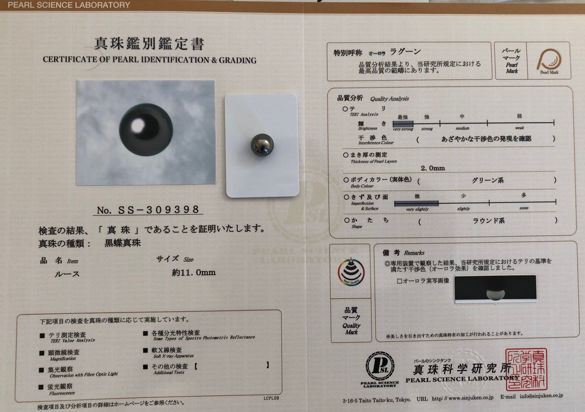 黒蝶真珠『オーロララグーン』無穴ルース 11.0mm|個体No.01