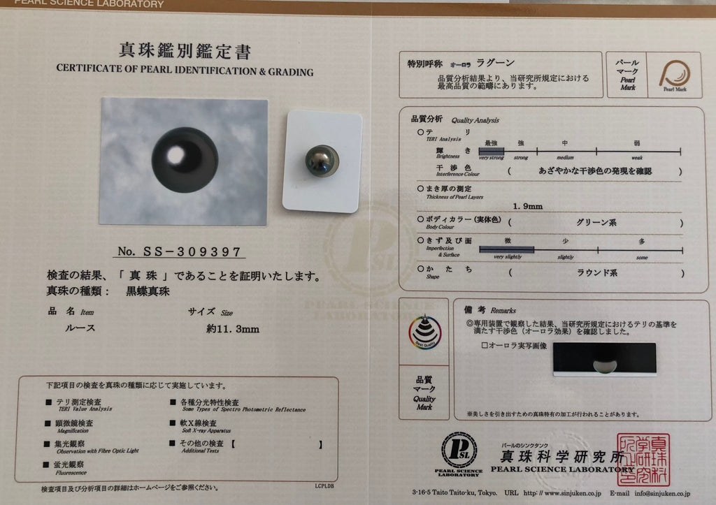 黒蝶真珠『オーロララグーン』無穴ルース 11.3mm｜個体No.02