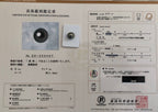 黒蝶真珠『オーロララグーン』無穴ルース 11.3mm｜個体No.02