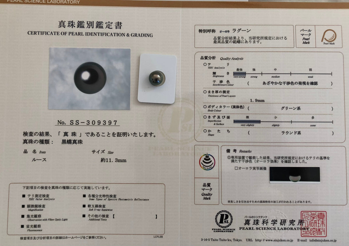 黒蝶真珠『オーロララグーン』無穴ルース 11.3mm｜個体No.02