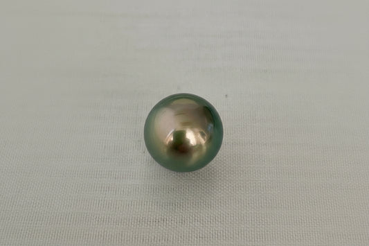 Loose Black Lip Pearl "Aurora Lagoon" (undrilled)